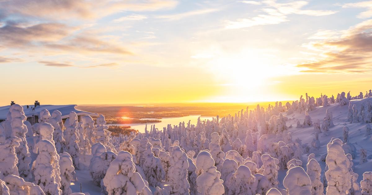 Sunrise over snowy trees and lake