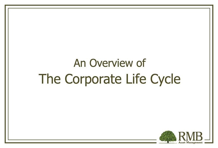 An Overview of the Corporate Life Cycle